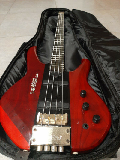 Bajo Washburn Status series 1000