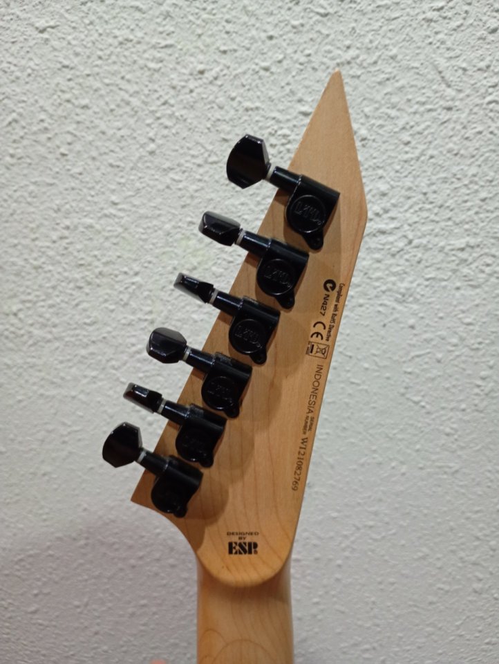 ESP LTD Kirk Hammett personalizada