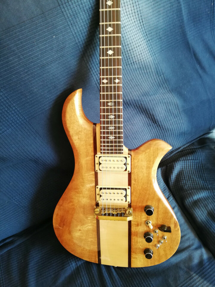 Bc Rich eagle vintage
