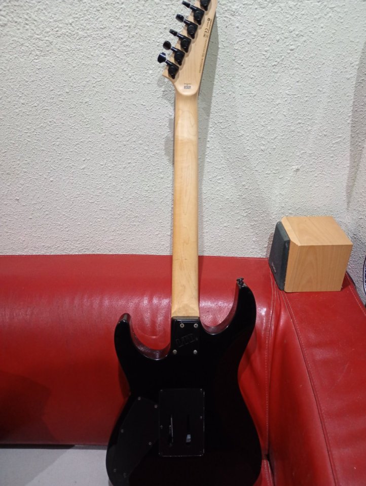 ESP LTD Kirk Hammett personalizada