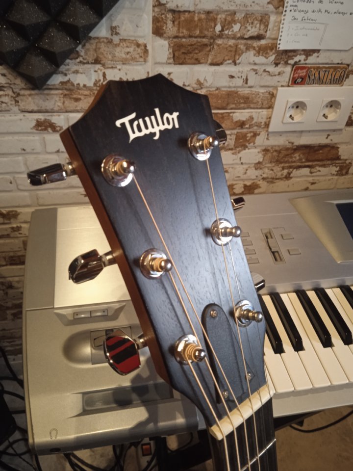 TAYLOR ce 210 electroacústica