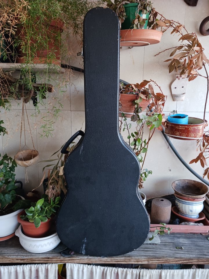 Estuche acùstica tipo L00