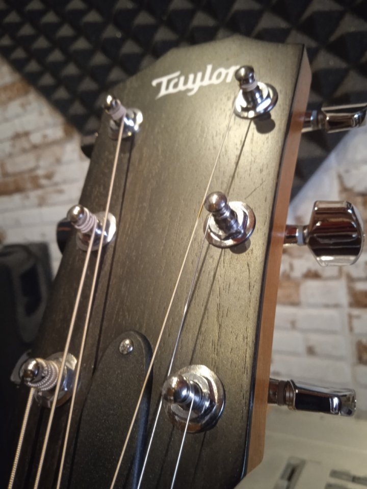 TAYLOR ce 210 electroacústica