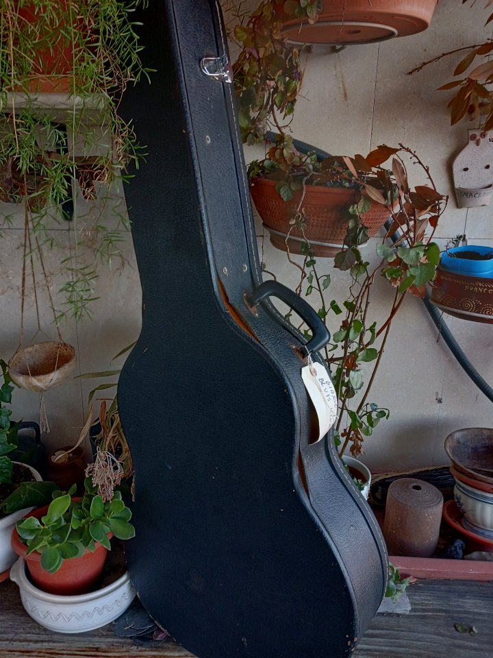 Estuche acùstica tipo L00