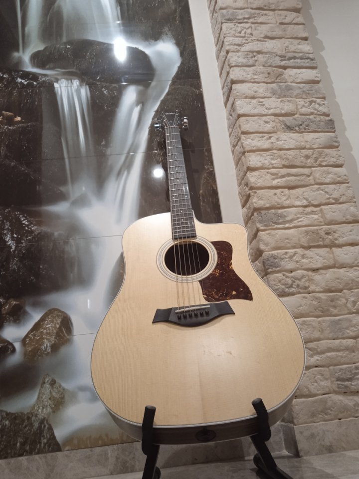 TAYLOR ce 210 electroacústica