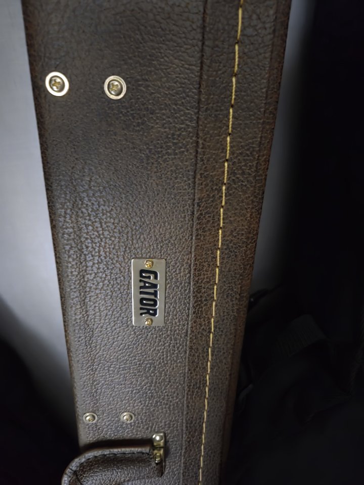 Vintage V100 afd Paradise - Les paul de alta calidad