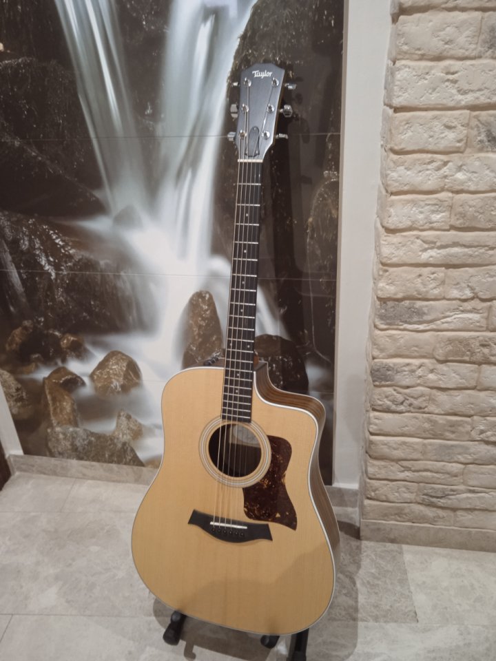 TAYLOR ce 210 electroacústica