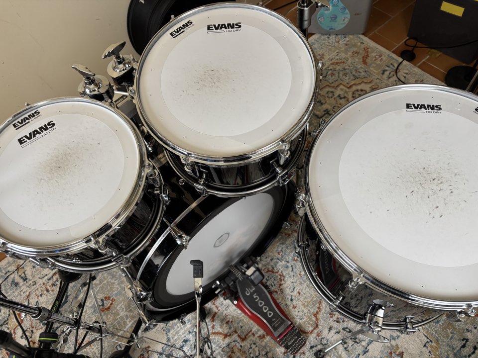 Batería Acústica Yamaha Absolute Maple Hybrid Solid Black CON FUNDAS