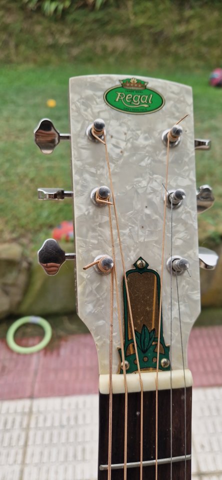 Dobro Regal RC - 2 Duolian