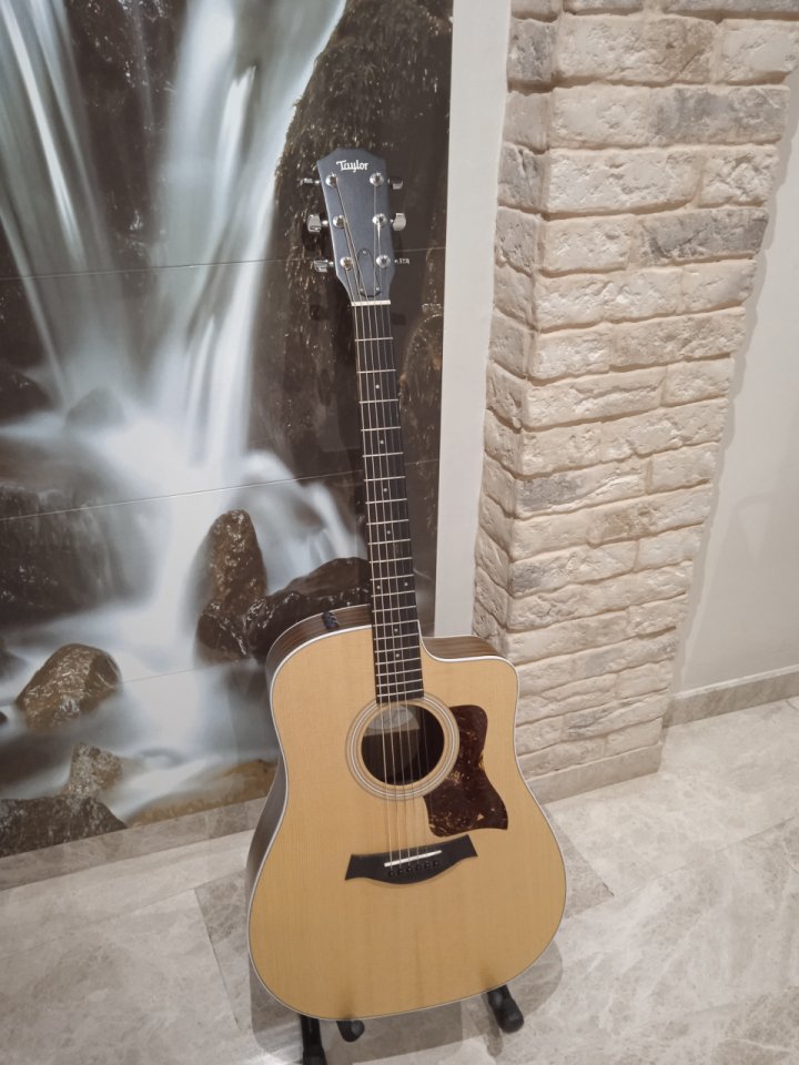 TAYLOR ce 210 electroacústica