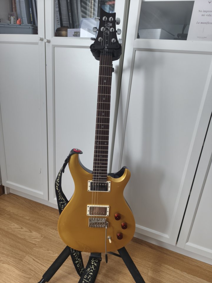 PRS DGT SE de segunda mano · Foto 1 de 10 · León · 700 €