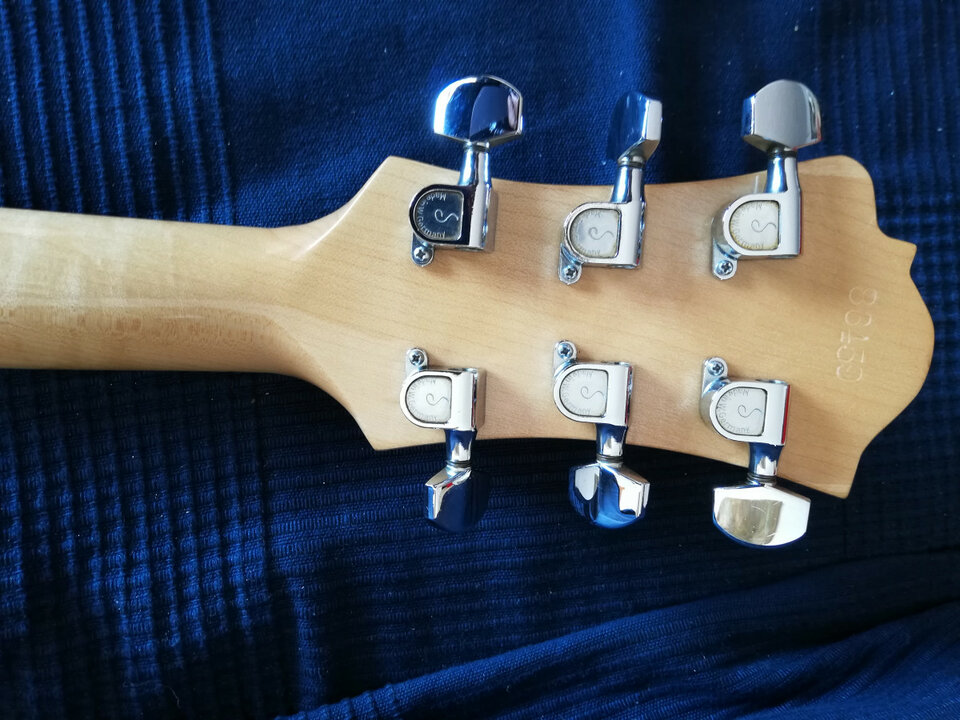 Bc Rich eagle vintage