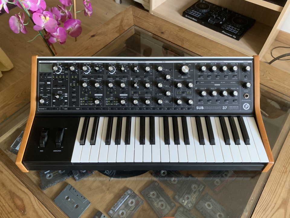 Moog Subsequent 37