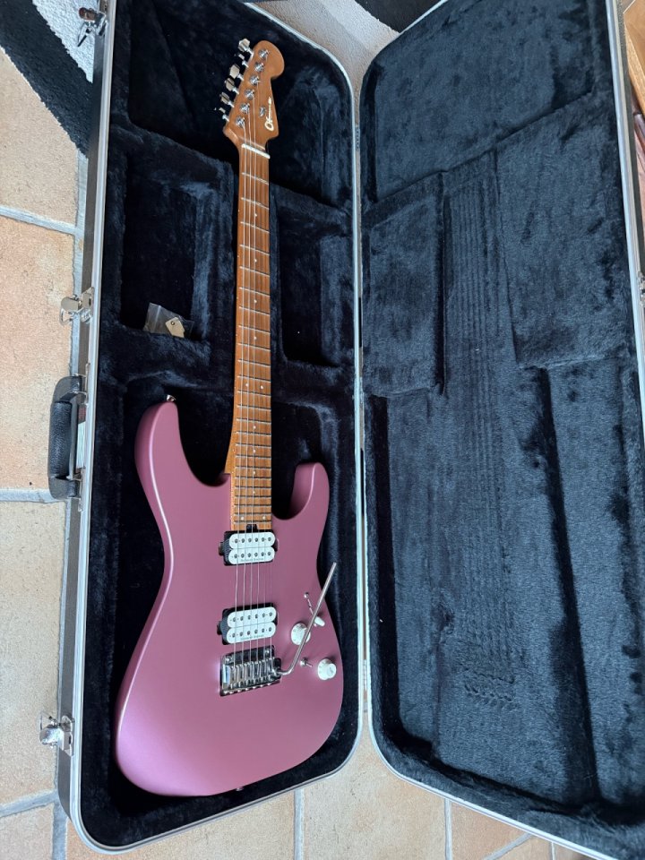 Charvel Pro Mod Dk 24 2pt HH