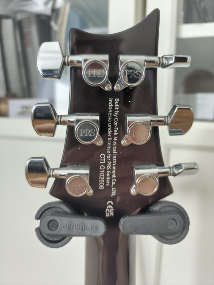 PRS DGT SE de segunda mano · Foto 7 de 10 · León · 700 €