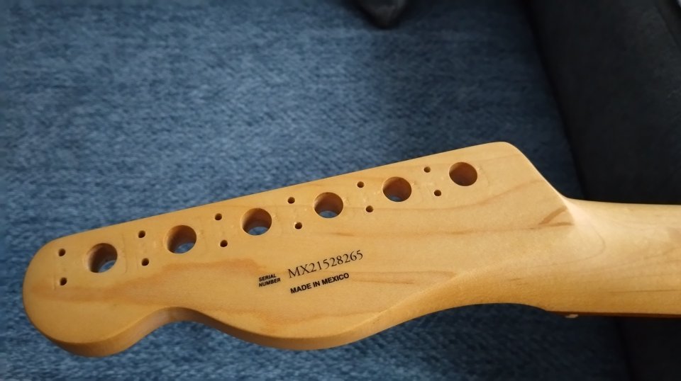 Mástil Fender Telecaster Player Series block inlays de segunda mano · Foto 4 de 10 · Pontevedra · 250 €