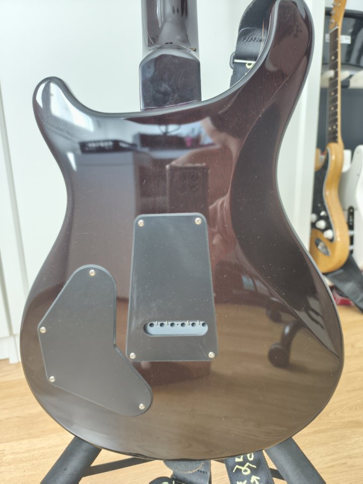 PRS DGT SE de segunda mano · Foto 9 de 10 · León · 700 €