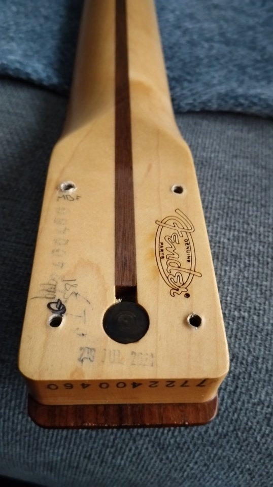 Mástil Fender Telecaster Player Series block inlays de segunda mano · Foto 6 de 10 · Pontevedra · 250 €