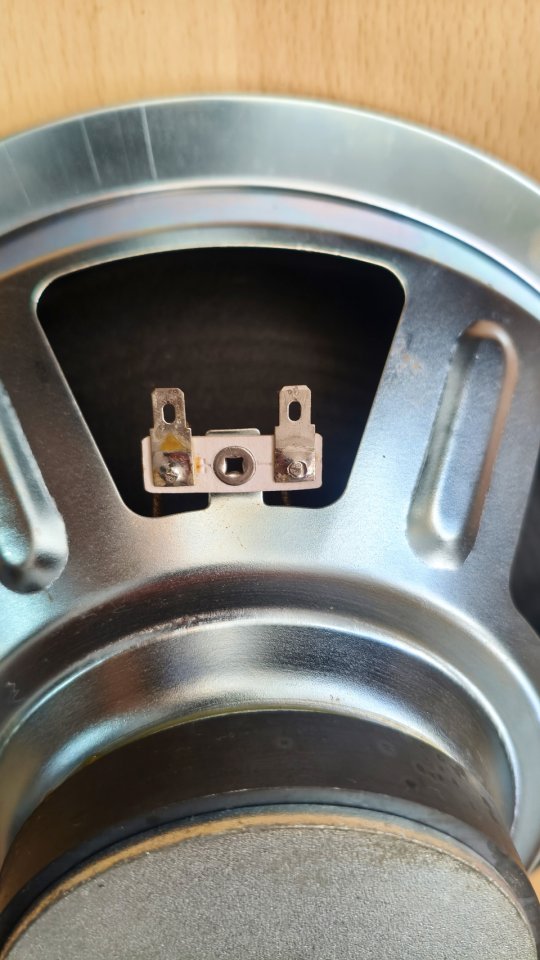 2x Altavoces 10" Marshall