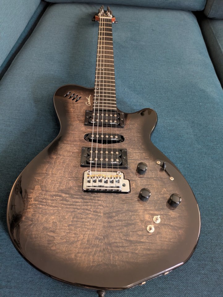 Godin XTSA Leaftop Trans Black de segunda mano · Foto 1 de 10 · Girona · 1500 €