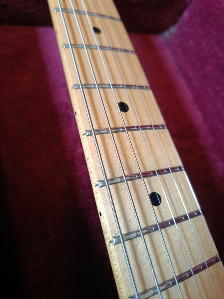 Tokai Ast88 con DG20