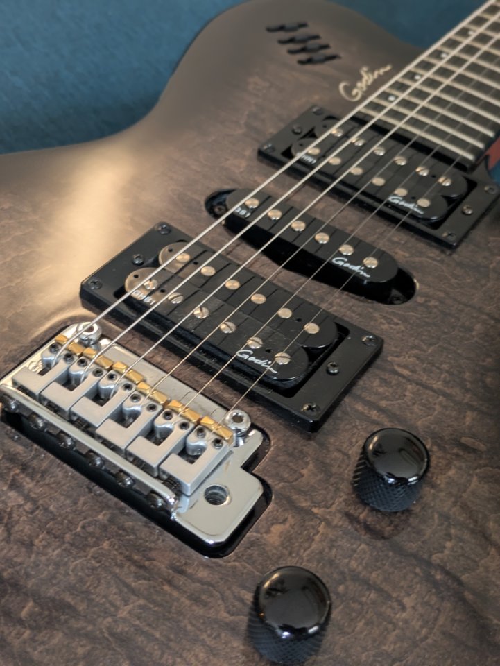 Godin XTSA Leaftop Trans Black de segunda mano · Foto 2 de 10 · Girona · 1500 €