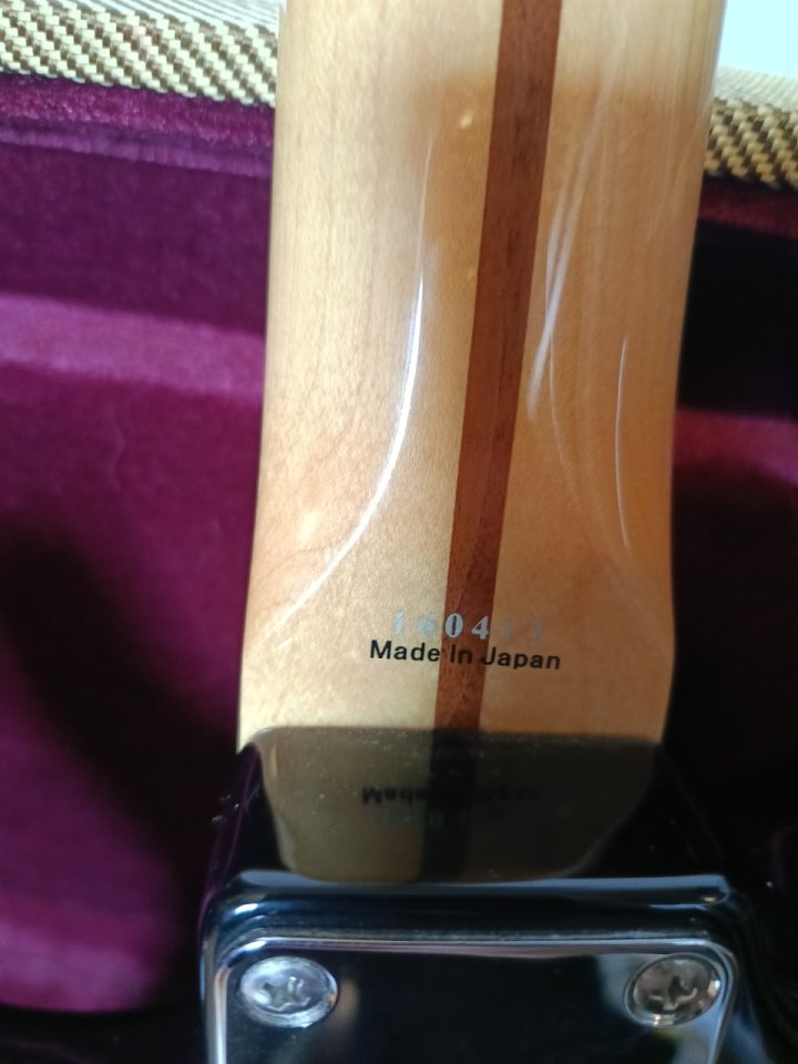 Tokai Ast88 con DG20