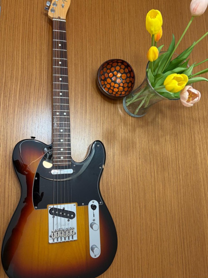 FENDER TELECASTER AMERICAN STANDARD 2009 (transporte incluido) + estuche de segunda mano · Foto 1 de 4 · Lleida · 985 €