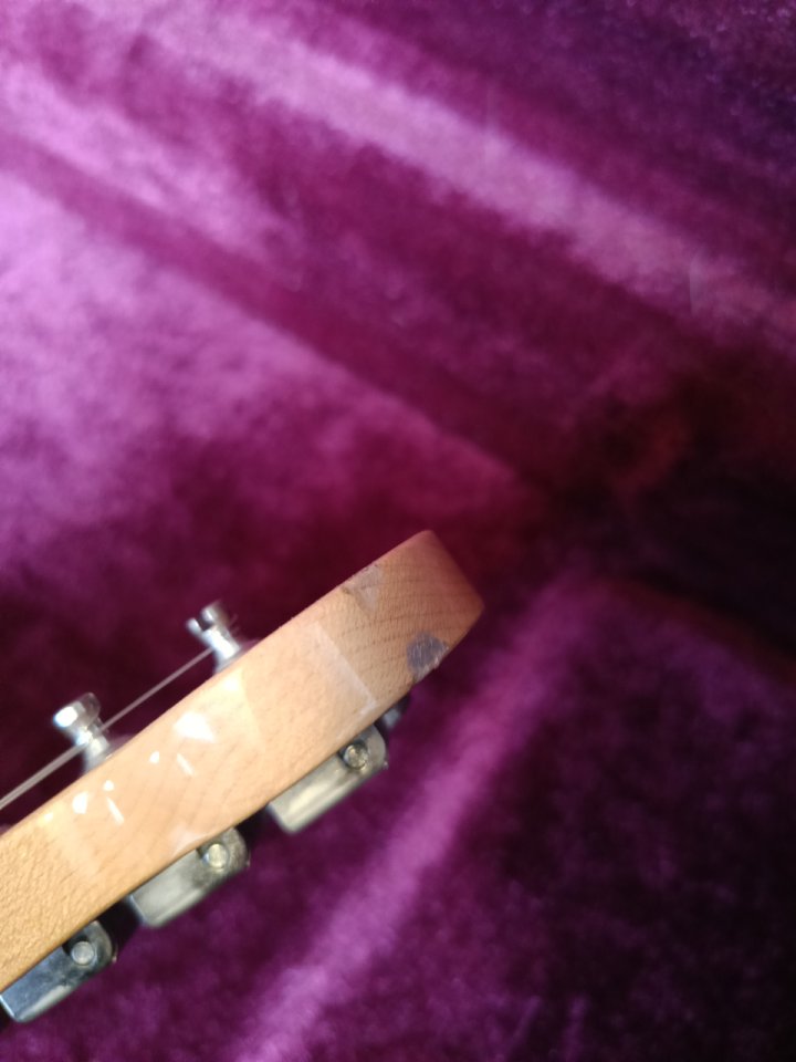 Tokai Ast88 con DG20