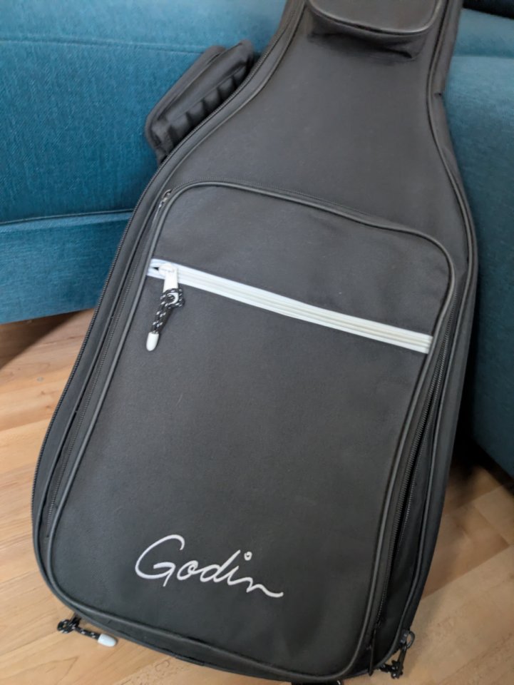 Godin XTSA Leaftop Trans Black de segunda mano · Foto 6 de 10 · Girona · 1500 €