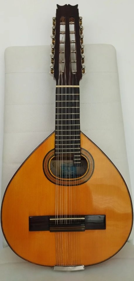 Bandurria Vicente Pérez Checa