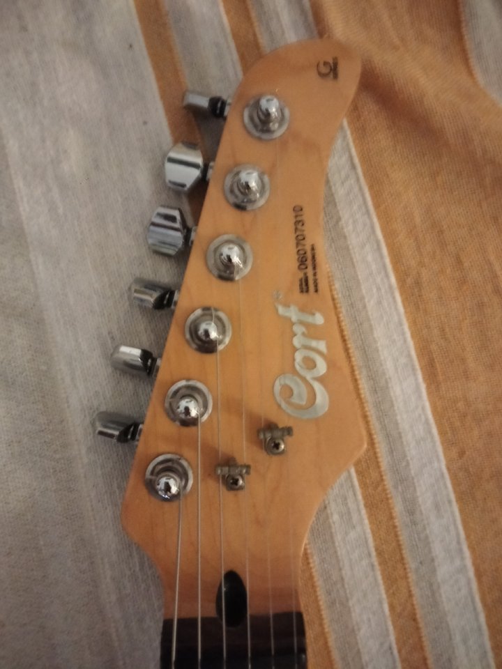 O cambio Strat Cort G254