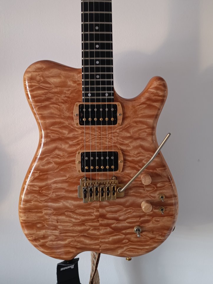 Carvin Holdsworth H2T Fatboy de segunda mano · Foto 1 de 4 · Barcelona · 1800 €