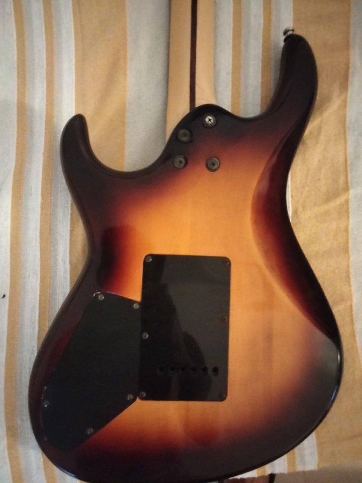 O cambio Strat Cort G254