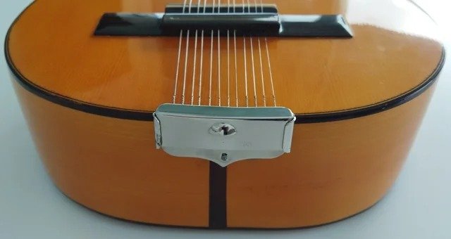 Bandurria Vicente Pérez Checa