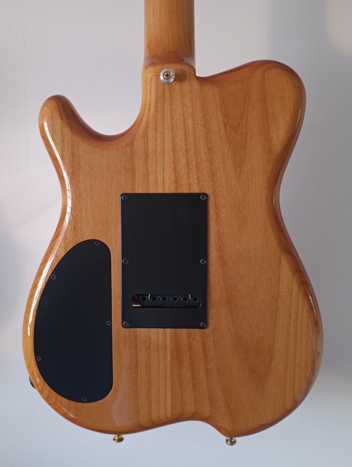 Carvin Holdsworth H2T Fatboy de segunda mano · Foto 2 de 4 · Barcelona · 1800 €