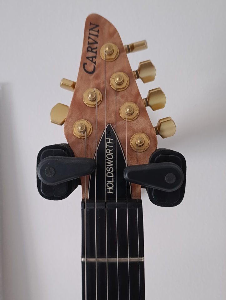 Carvin Holdsworth H2T Fatboy de segunda mano · Foto 3 de 4 · Barcelona · 1800 €