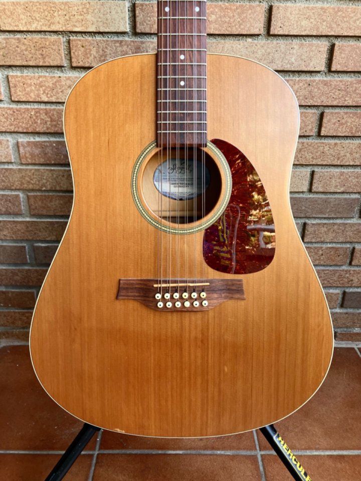 Seagull s12 coastline