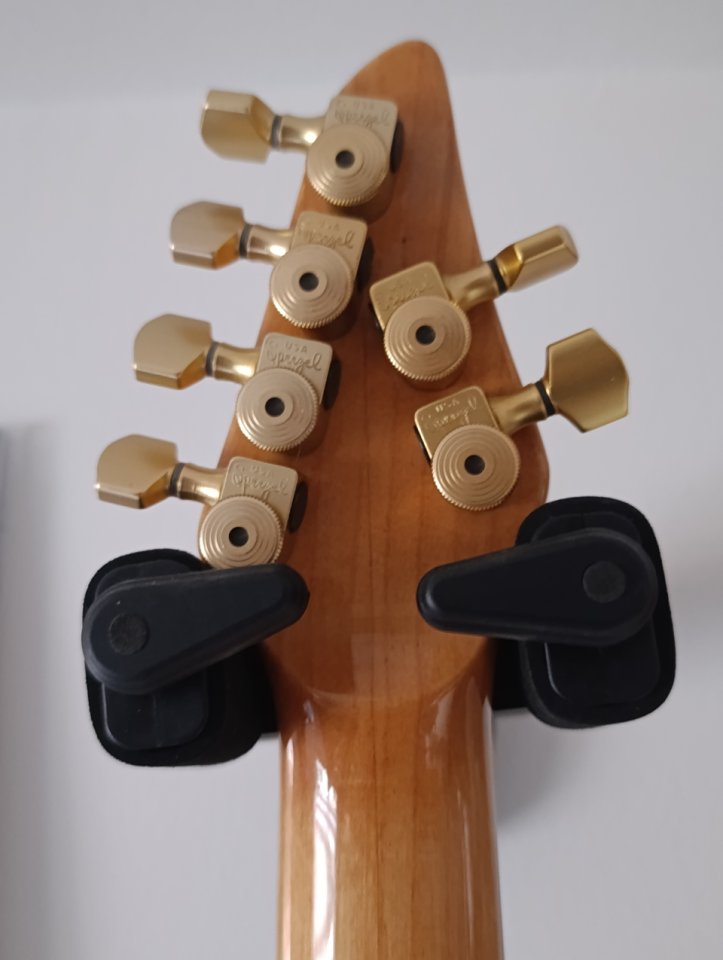 Carvin Holdsworth H2T Fatboy de segunda mano · Foto 4 de 4 · Barcelona · 1800 €