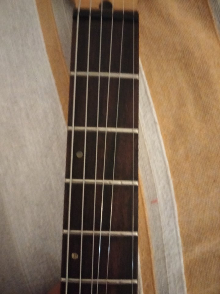 O cambio Strat Cort G254