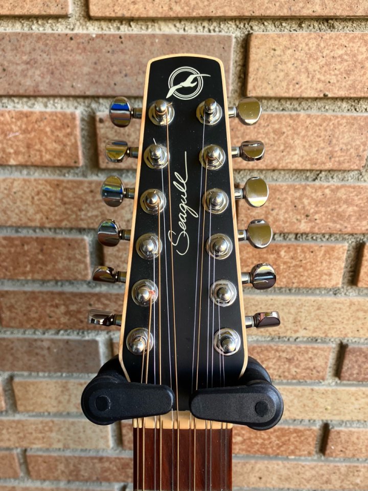 Seagull s12 coastline