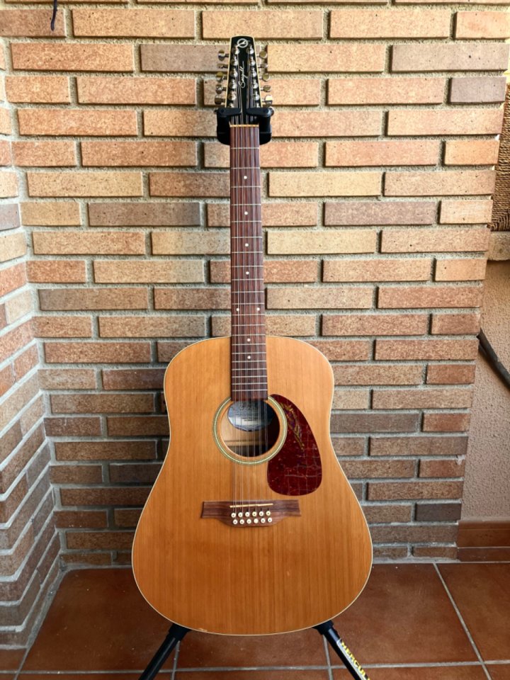 Seagull s12 coastline