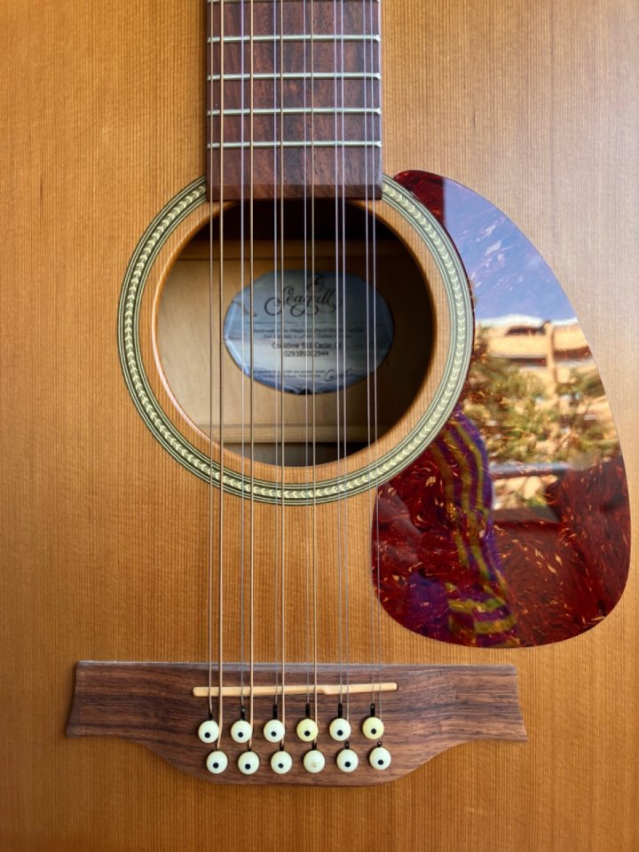 Seagull s12 coastline