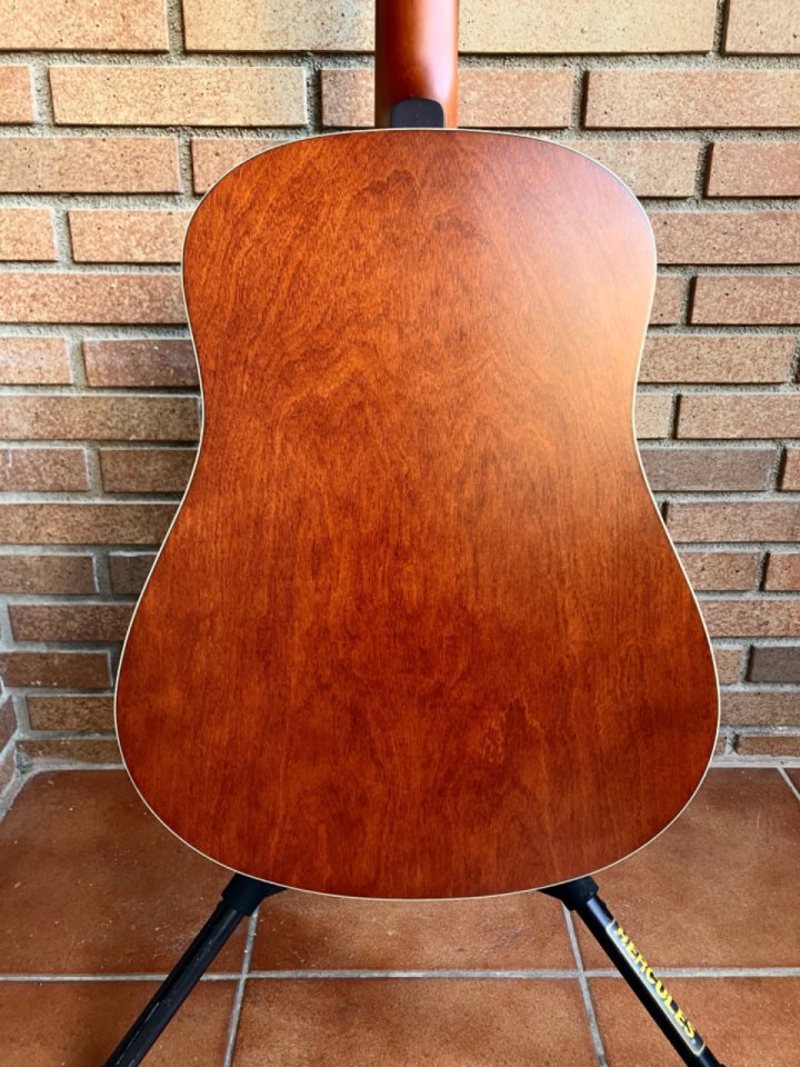 Seagull s12 coastline