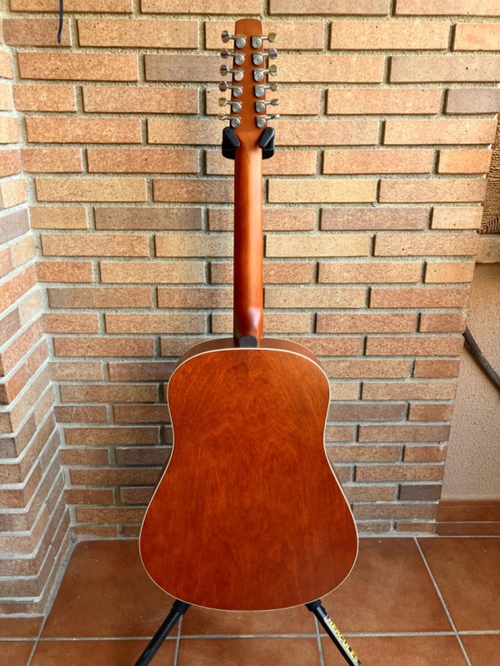 Seagull s12 coastline