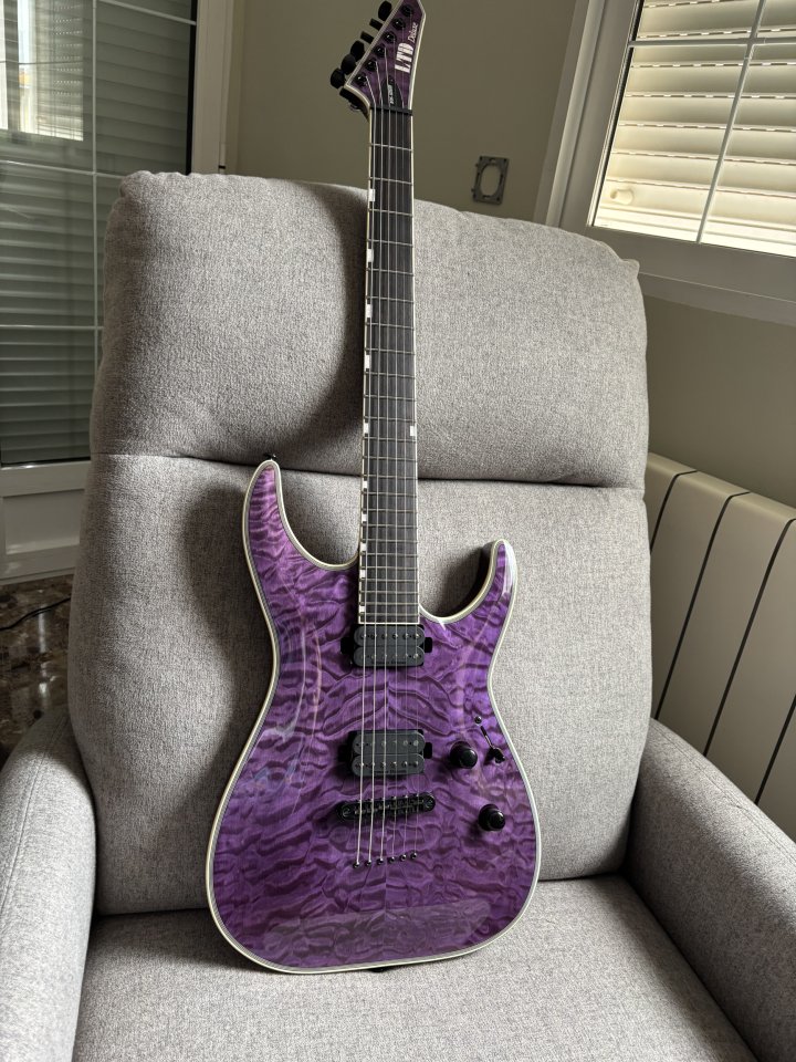 ESP LTD MH-1000 NT Deluxe See Thru Purple