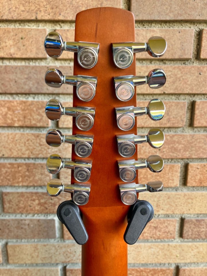 Seagull s12 coastline