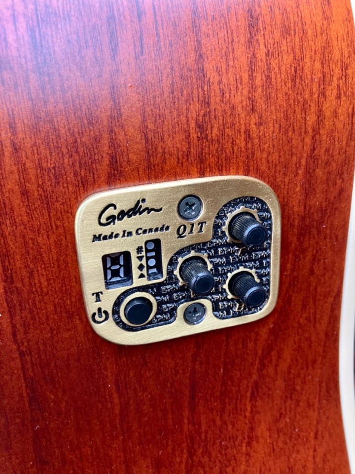 Seagull s12 coastline