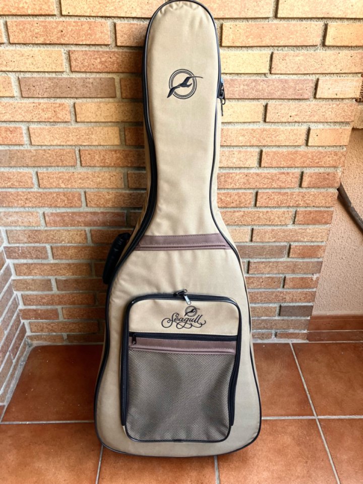 Seagull s12 coastline