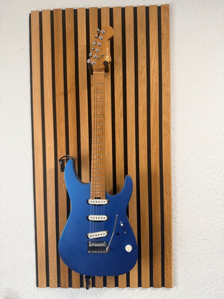 Charvel Pro-Mod DK22 SSS de segunda mano · Foto 1 de 4 · Barcelona · 799 €